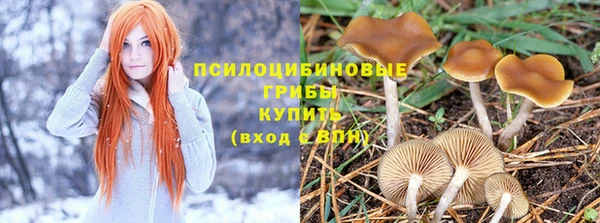 дурь Нефтегорск